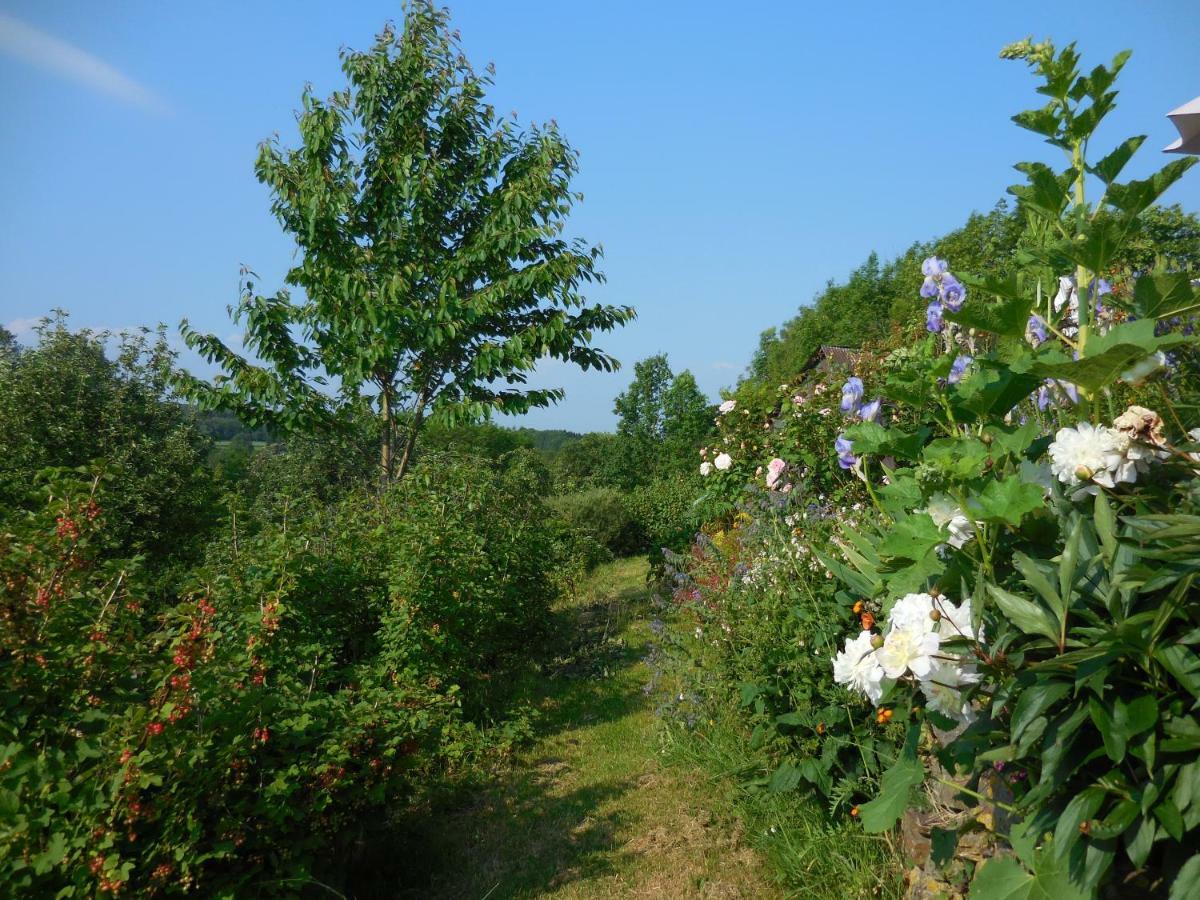 Le Ru Du Passage Villa Sart-lez-Spa Eksteriør billede